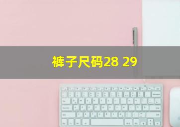 裤子尺码28 29